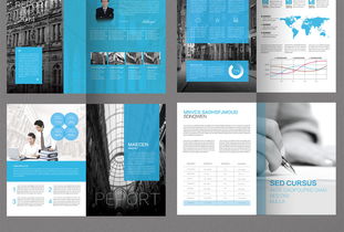 2017大氣企業(yè)形象畫(huà)冊(cè)設(shè)計(jì)模板 打造專(zhuān)業(yè)國(guó)內(nèi)貿(mào)易代理品牌形象